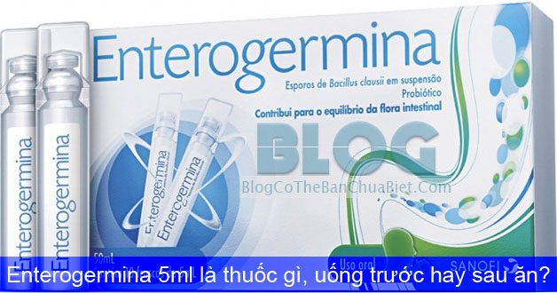 thuoc-enterogermina-5ml-la-thuoc-gi-uong-truoc-hay-sau-bua-an
