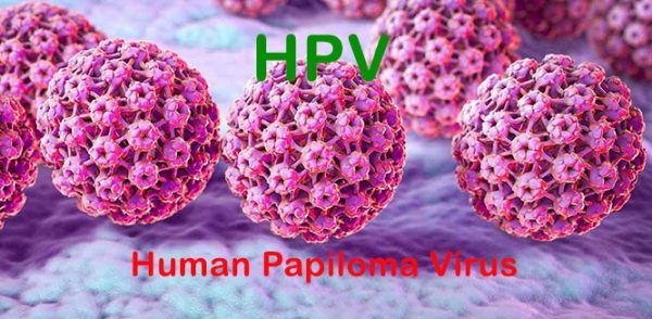 Virus hpv là gì? Có nguy hiểm không?